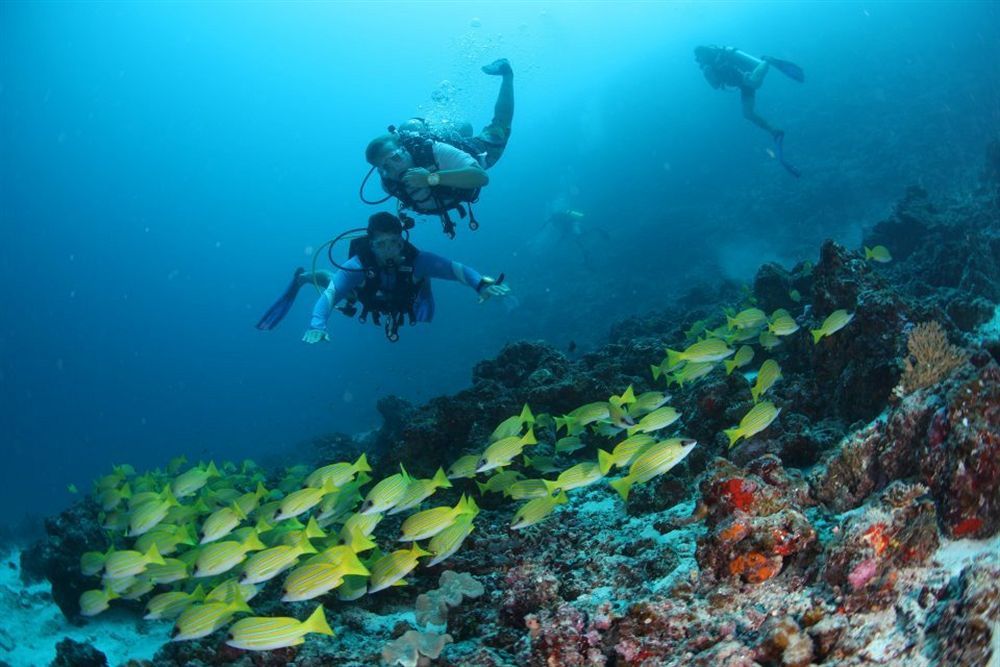 Fern Boquete Inn Hulhumale Εξωτερικό φωτογραφία